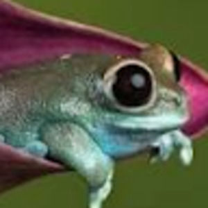 Meet your Posher, Alabama